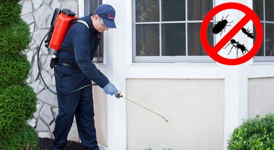 Akyazı Kemirgen İlaçlama böcek ilaçlama ve haşere kontrolü — ilaclama-tr.com